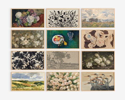 Samsung Frame tv art, bundle set of 100