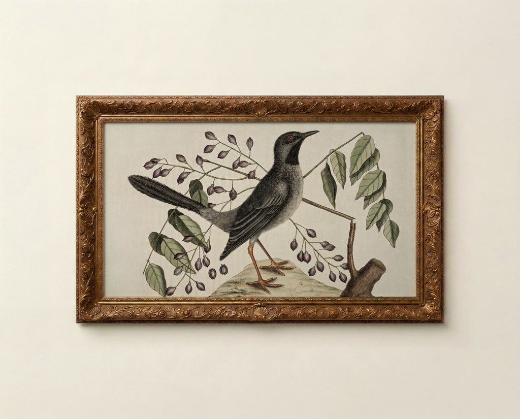 Bird Frame TV Art