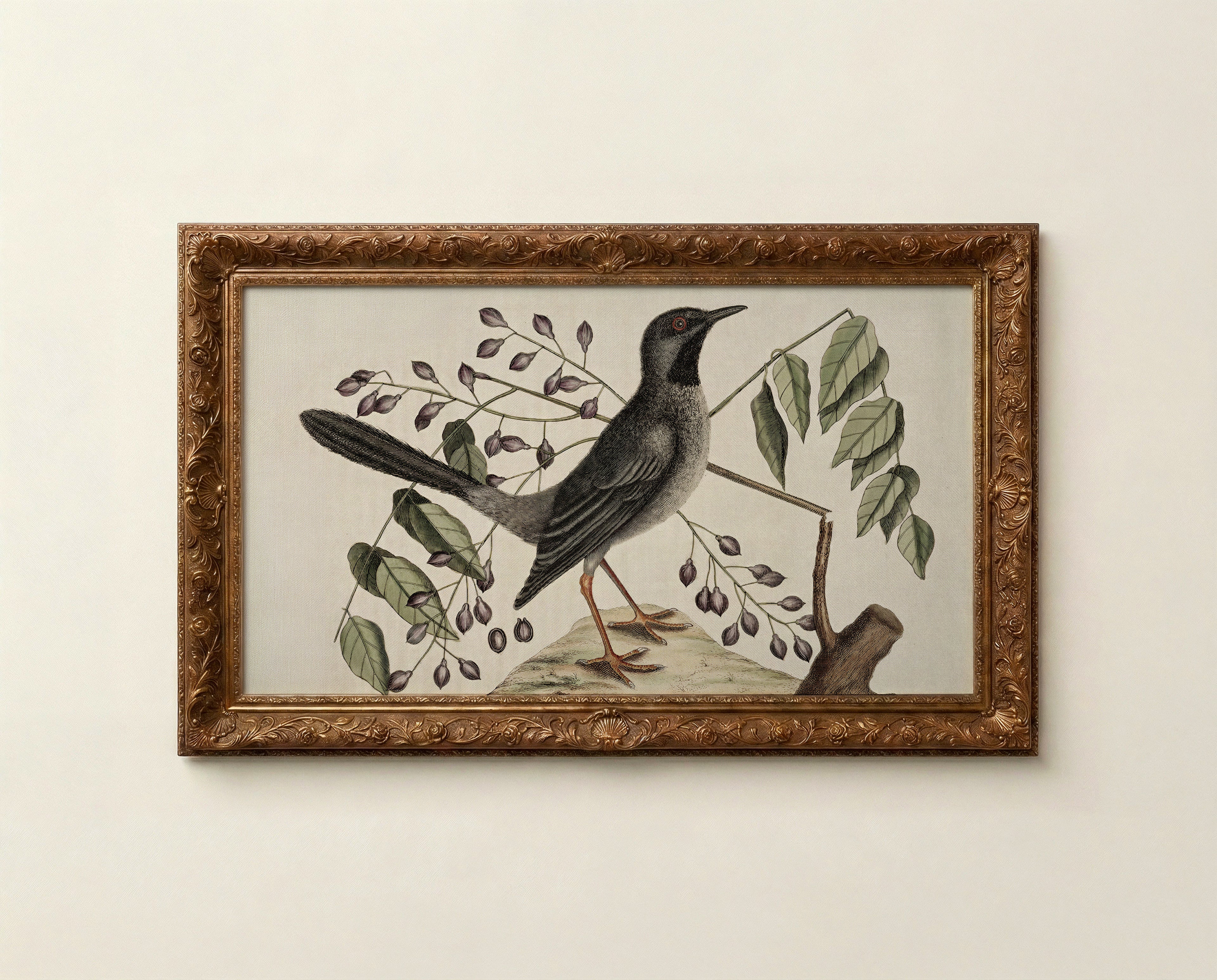 Bird Frame TV Art