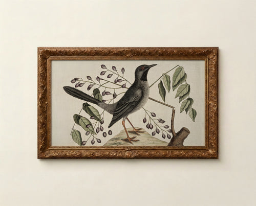 Bird Frame TV Art