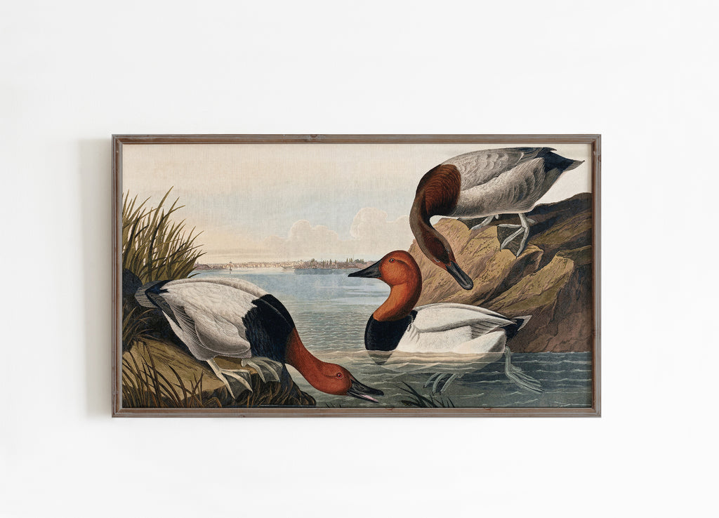 Ducks Frame TV Art