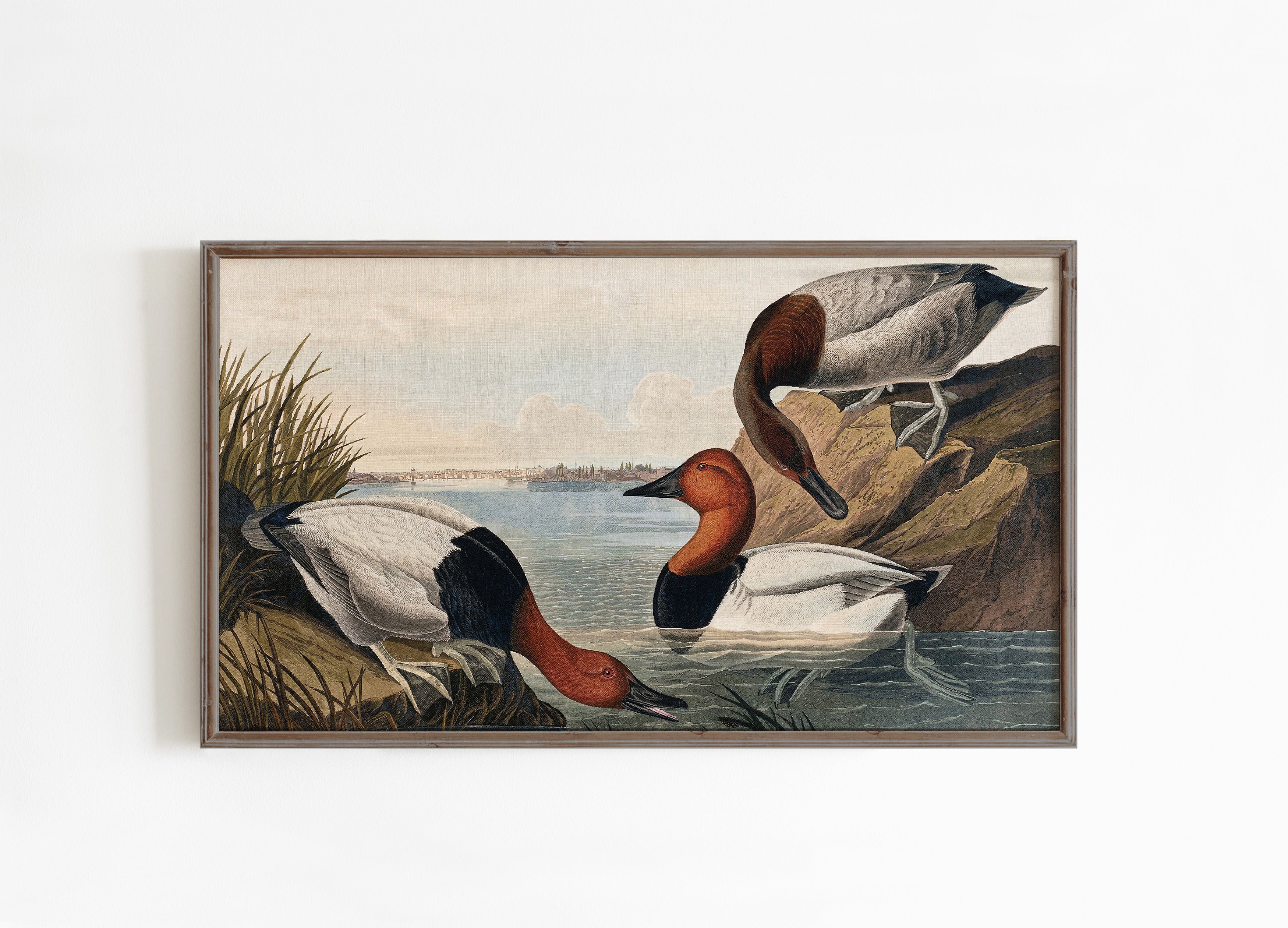 Ducks Samsung Frame TV Art, Vintage Art