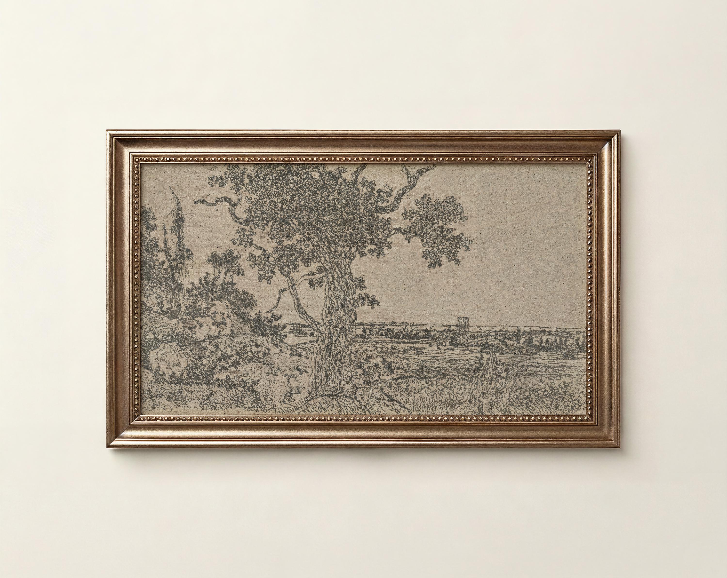 Tree Sketch Frame TV Art