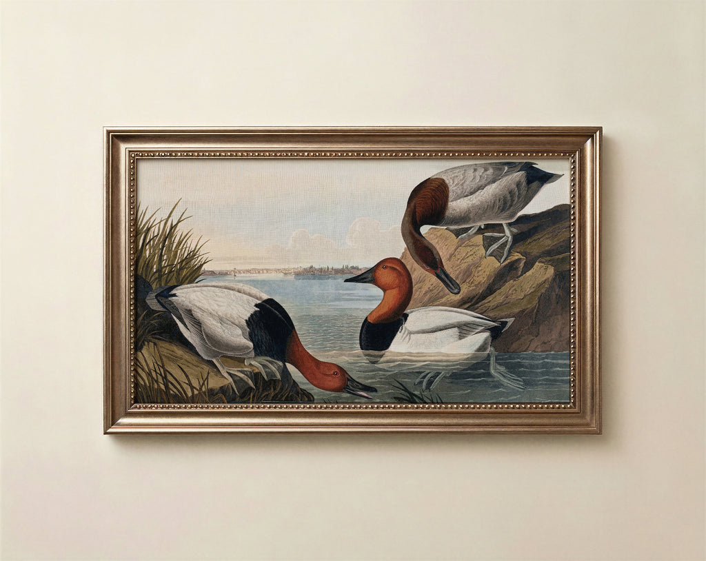 Ducks Frame TV Art