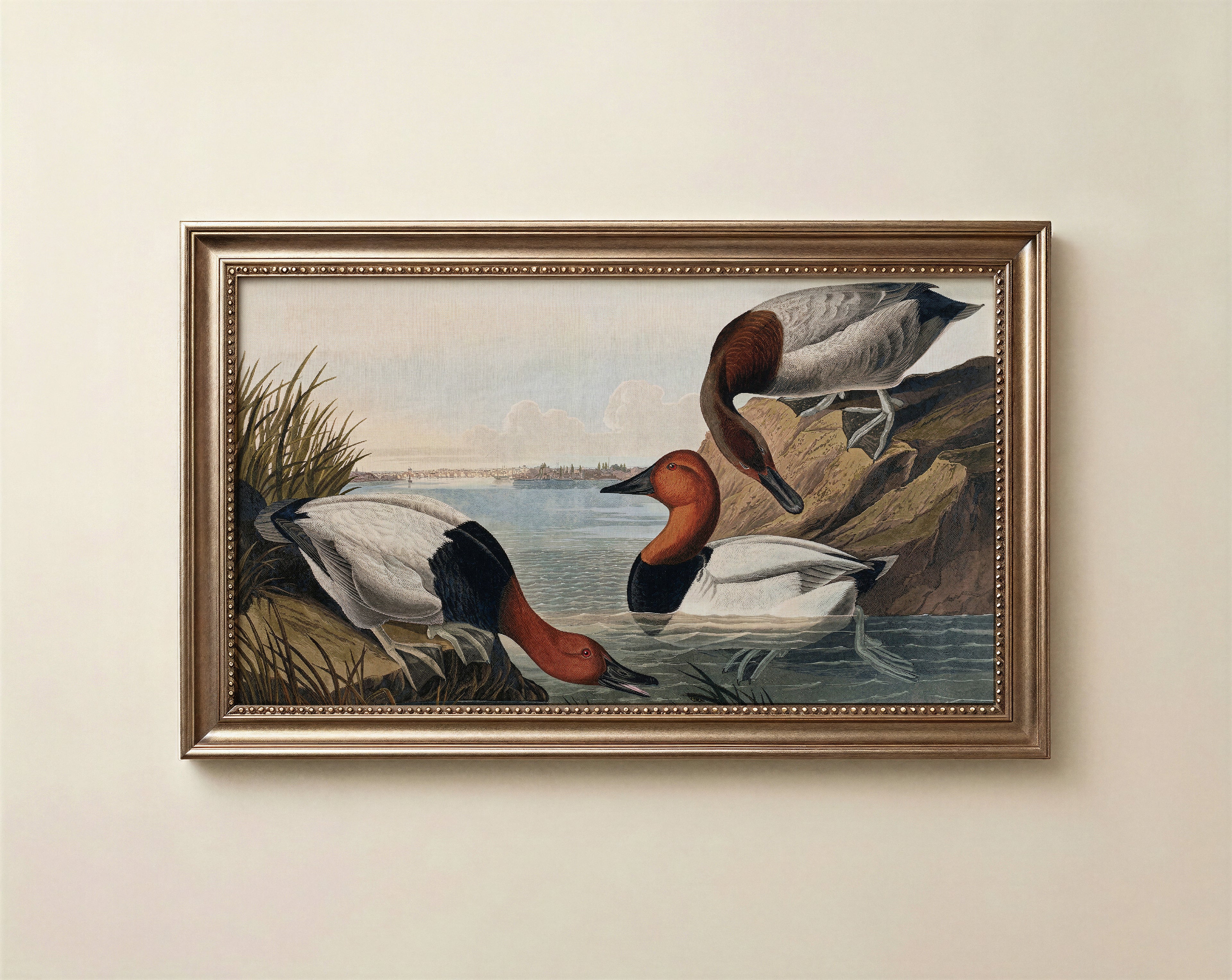 Ducks Samsung Frame TV Art, Vintage Art